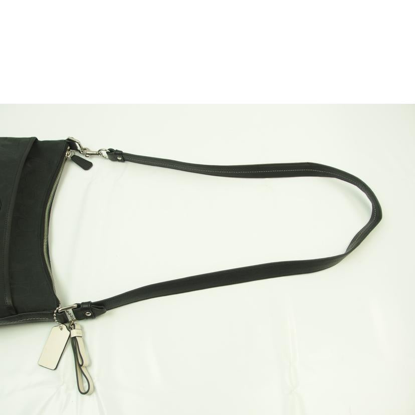 COACH コーチ/パークシグネチャーショルダーバッグ/F54333//B1621/Aランク/83