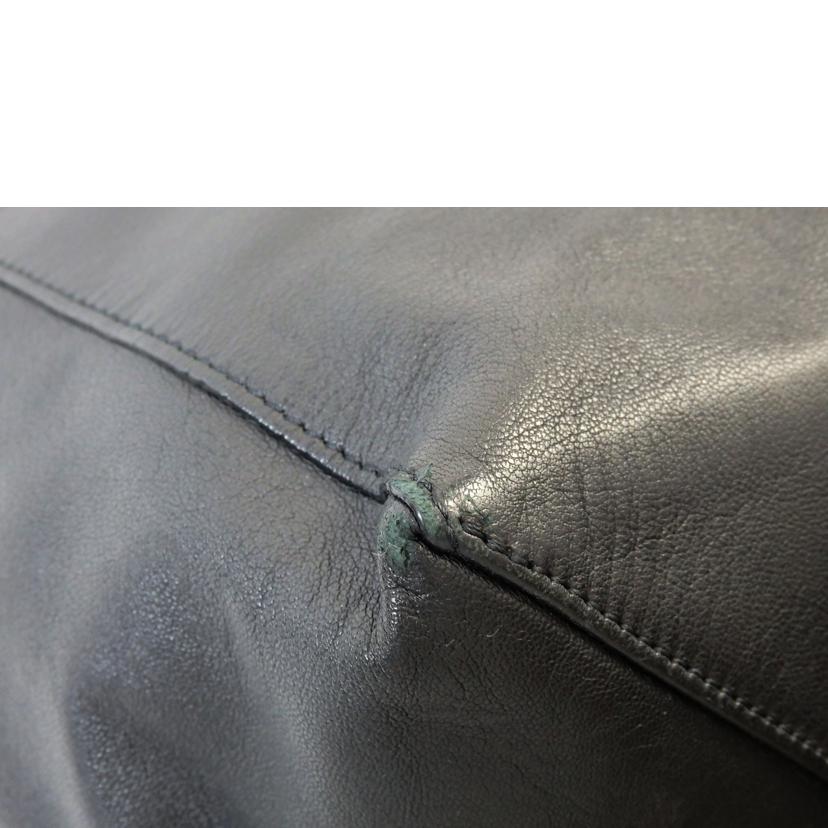 CELINE CELINE /ホリゾンタルカバレザートート/165553EBT//F.GA.0154/Bランク/72