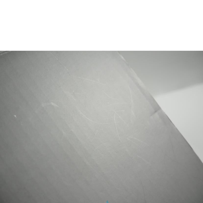 IRIS OHYAMA アイリスオーヤマ/単機能空気清浄機 9畳/IBP-A25-W//SAランク/79