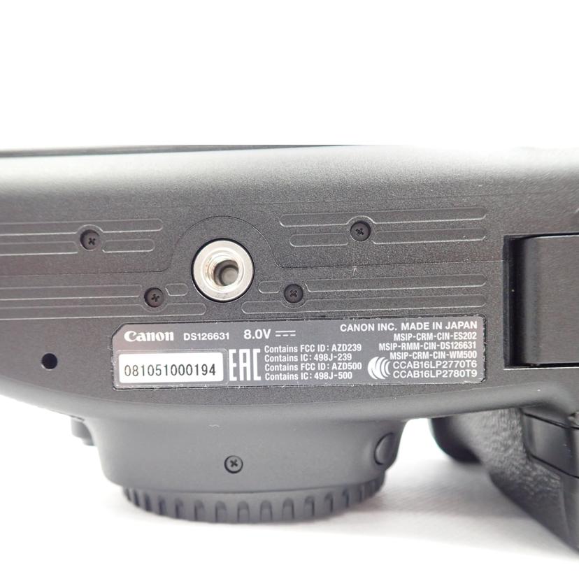 Canon キヤノン/デジタル一眼/EOS6D Mark II//Aランク/62