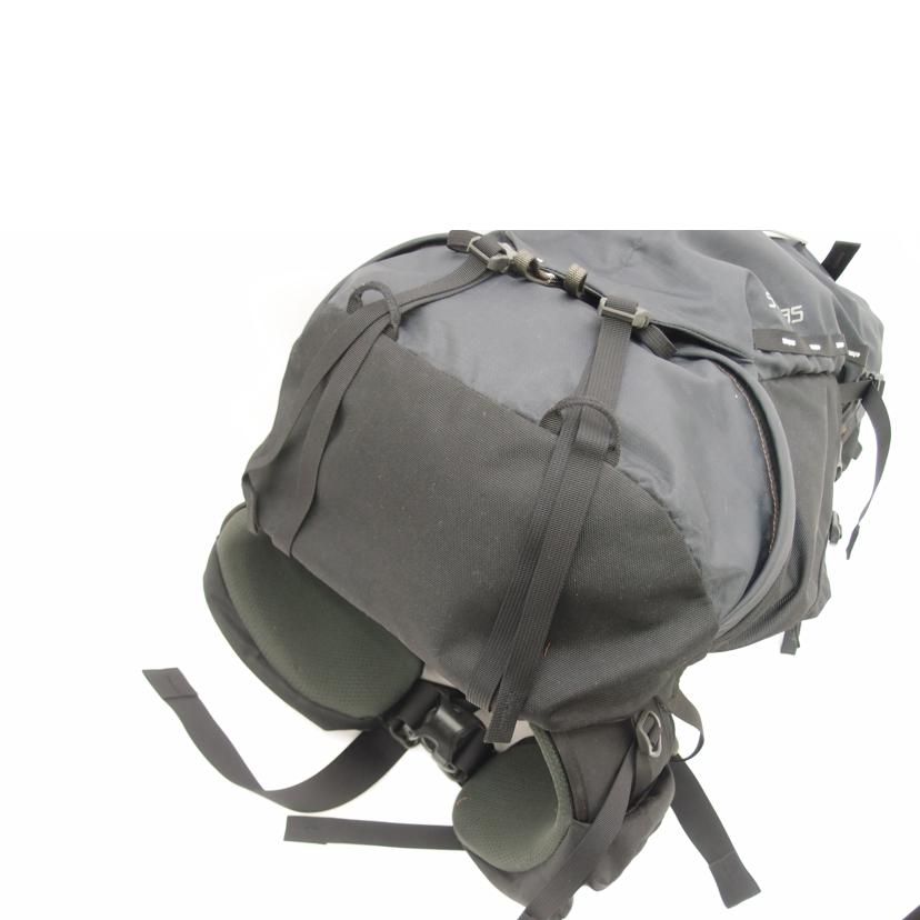 GREGORY グレゴリー/GREGORY バックパック//Aランク/69