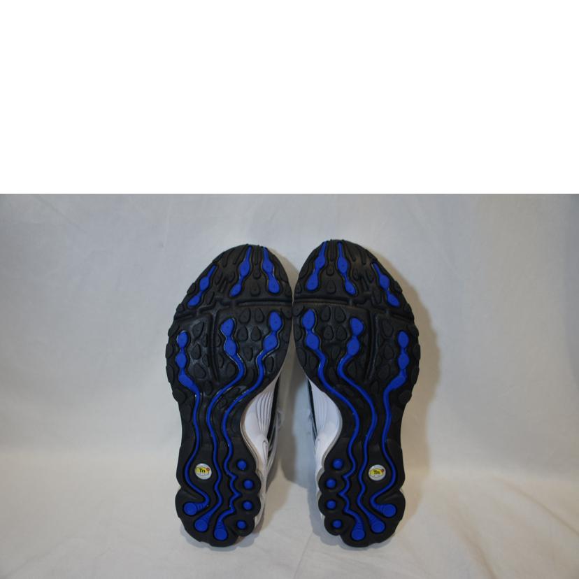 NIKE ナイキ/AIR TUNEDMAX WHT/BLU/DH8623 001//SAランク/94