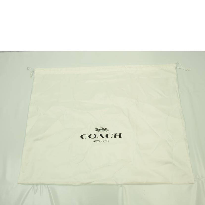 COACH コーチ/ハドリーホーボーカラーブロック/76088//G2091/Aランク/83