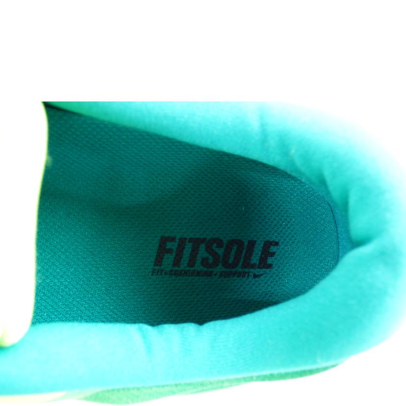 NIKE ナイキ/ルナステロス/844591-700//Aランク/64