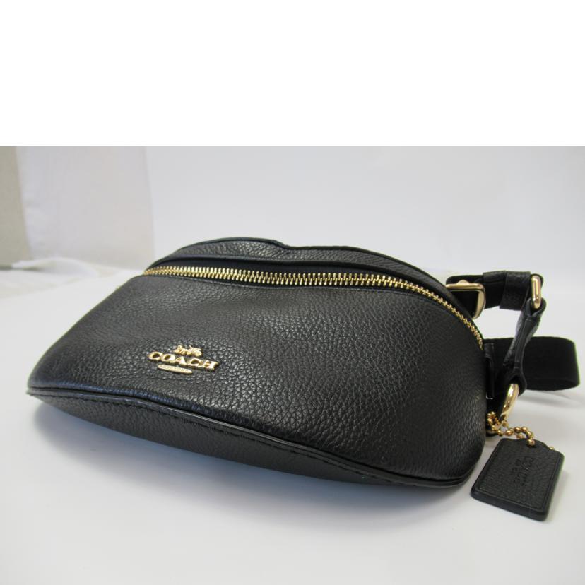 COACH/ウエストバック/レザー/39939//A2080/Aランク/63