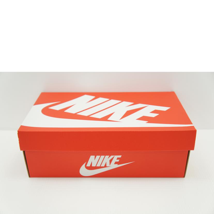 NIKE ナイキ/NIKE ダンクローサーティファイドフレッシュスニーカー 27cm/DO9776-001//SAランク/75