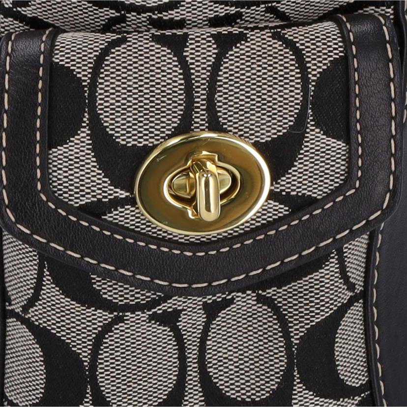 COACH コーチ/シグネチャーハンド/5623//L04Q/Bランク/75