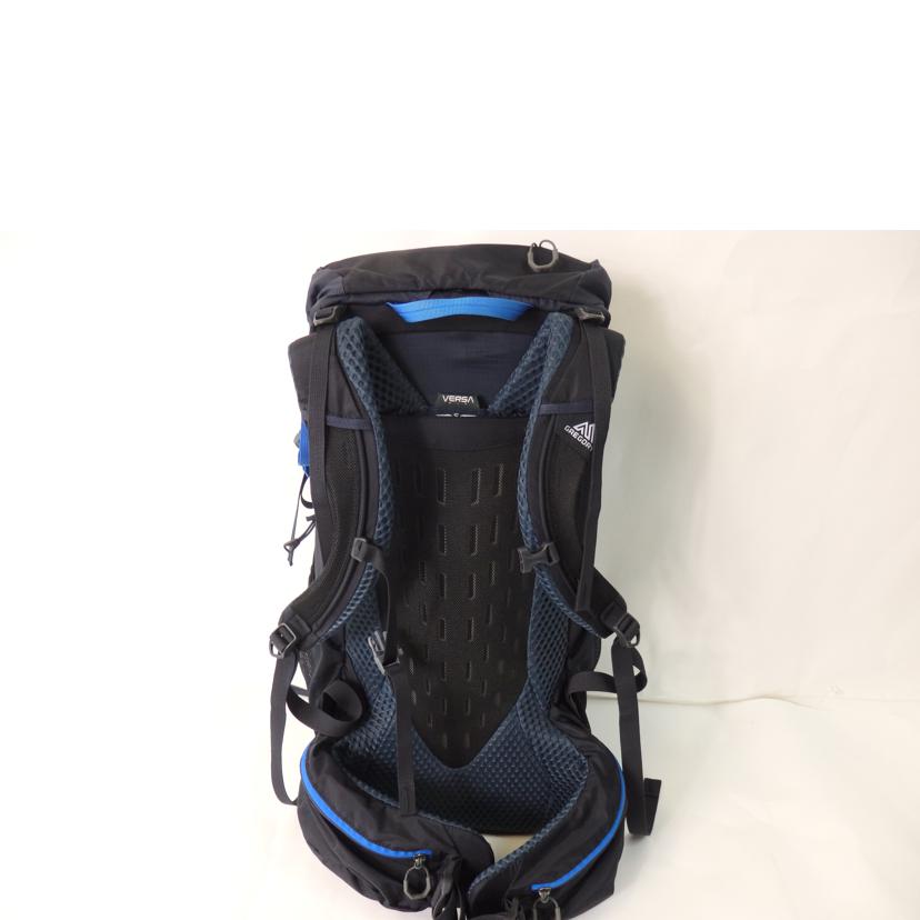 GREGORY グレゴリー/GREGORY STOUT35//ABランク/84