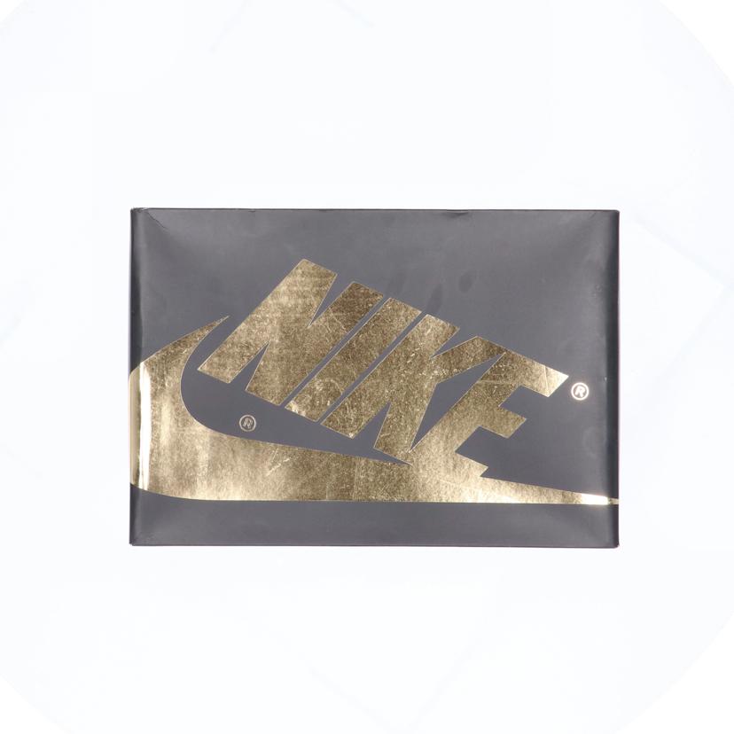 NIKE ナイキ/AIR JORDAN 1 RETRO HIGH OG/PALOMINO/DZ5485-020//Aランク/06