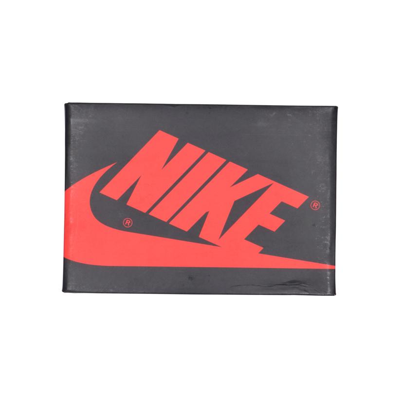 NIKE ナイキ/AIR JORDAN 1 ELEMENT/GORE-TEX/DB2889-003//SAランク/06