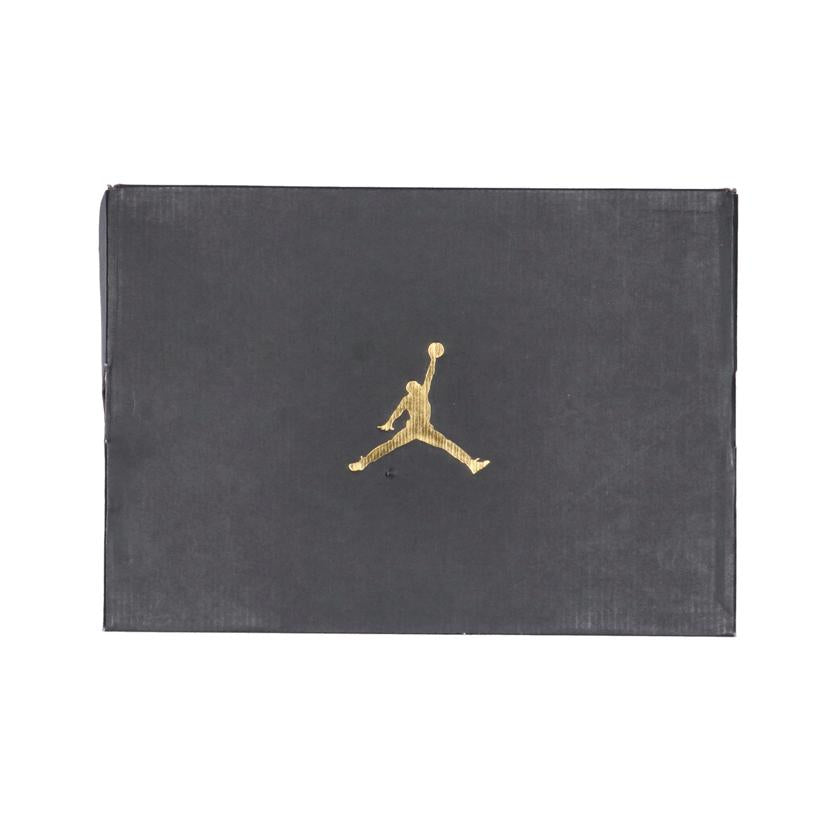 NIKE ナイキ/JORDAN COURTSIDE 23 Desert Gum /AT0057-200//ABランク/06