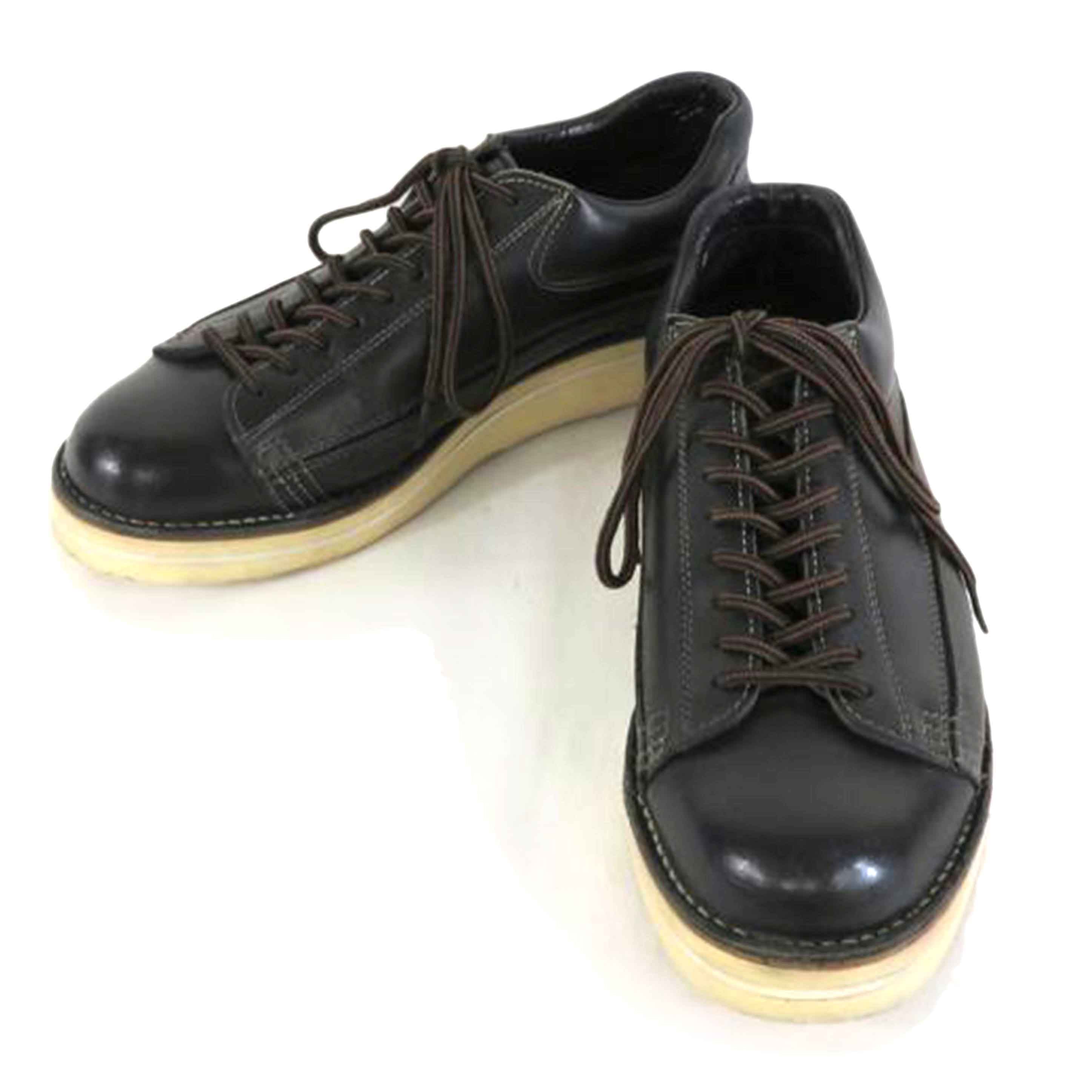 Danner ダナー/フットリバー メンズシューズ/ブラック/D4002//ABランク/81