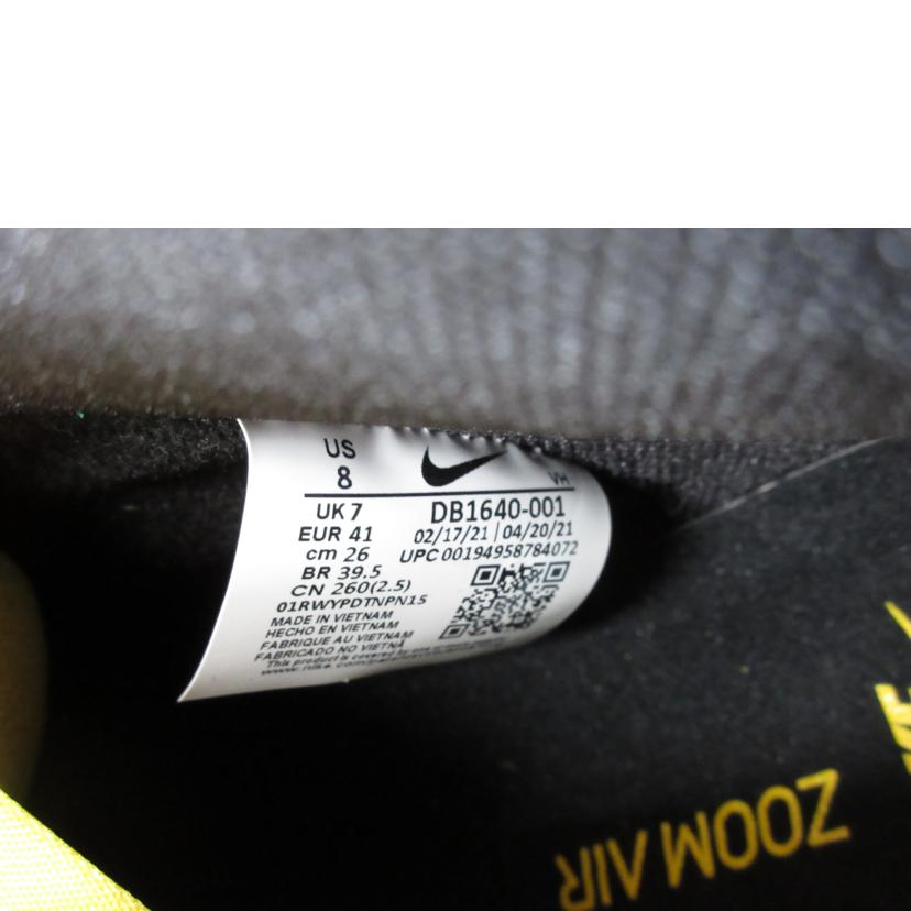 NIKE ナイキ/SB DUNK HIGH PRO/DB1640-001//SAランク/06