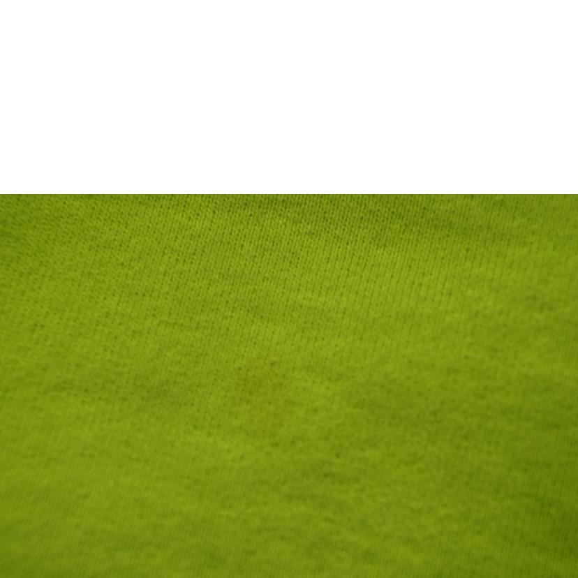 Supreme × AKIRA シュプリーム/AKIRA Patched Hooded Sweatshirts/L.GRN//Bランク/07