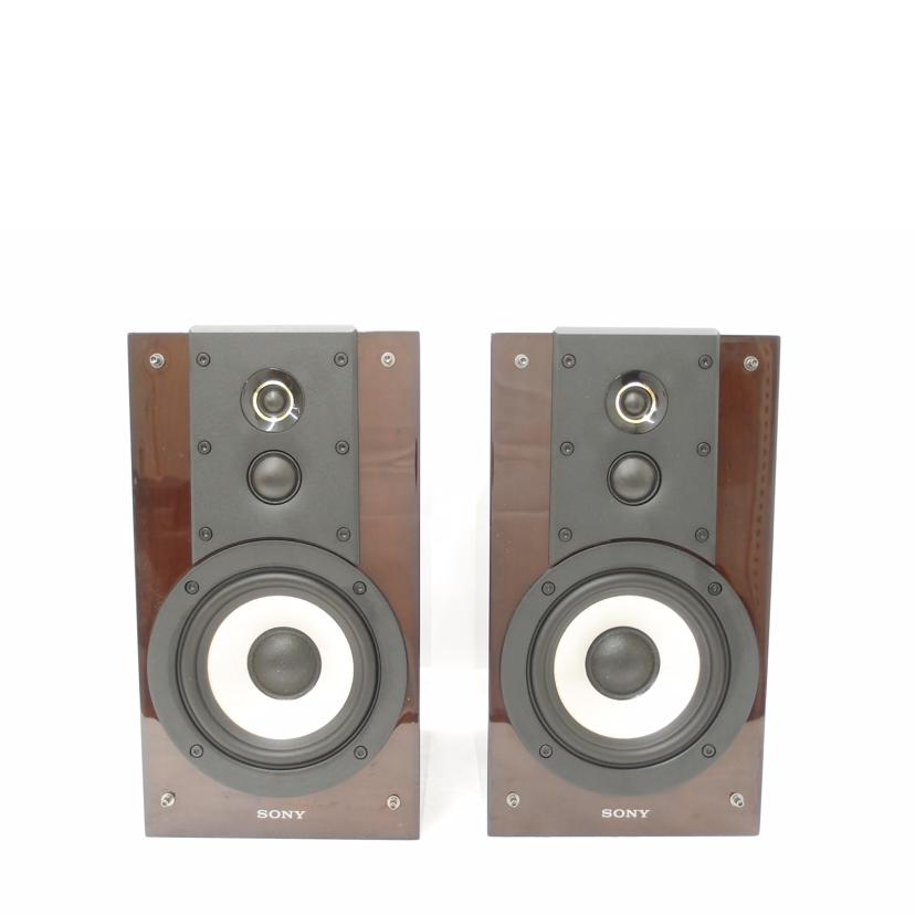 SONY ソニー/スピーカー(ペア)/SS-HW1//2106771/ABランク/69