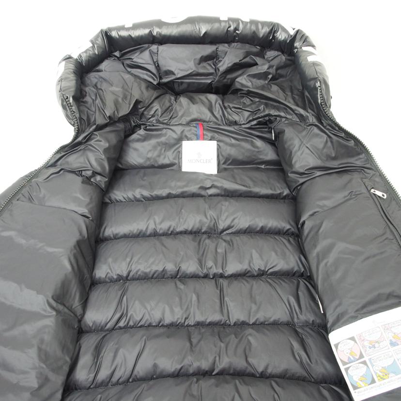 Moncler モンクレール/ダウンジャケット/サルズマン/G20911A00009 53048//ABランク/78