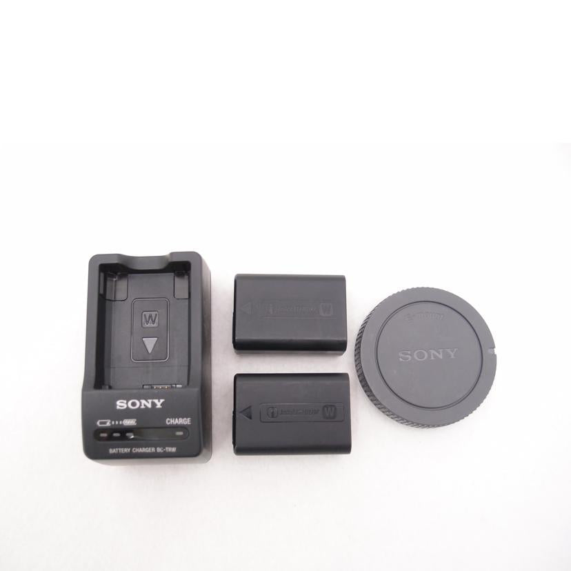 SONY ソニー/ミラーレス一眼レフカメラ ボディ/α6400 ILCE-6400//3135550/Aランク/69