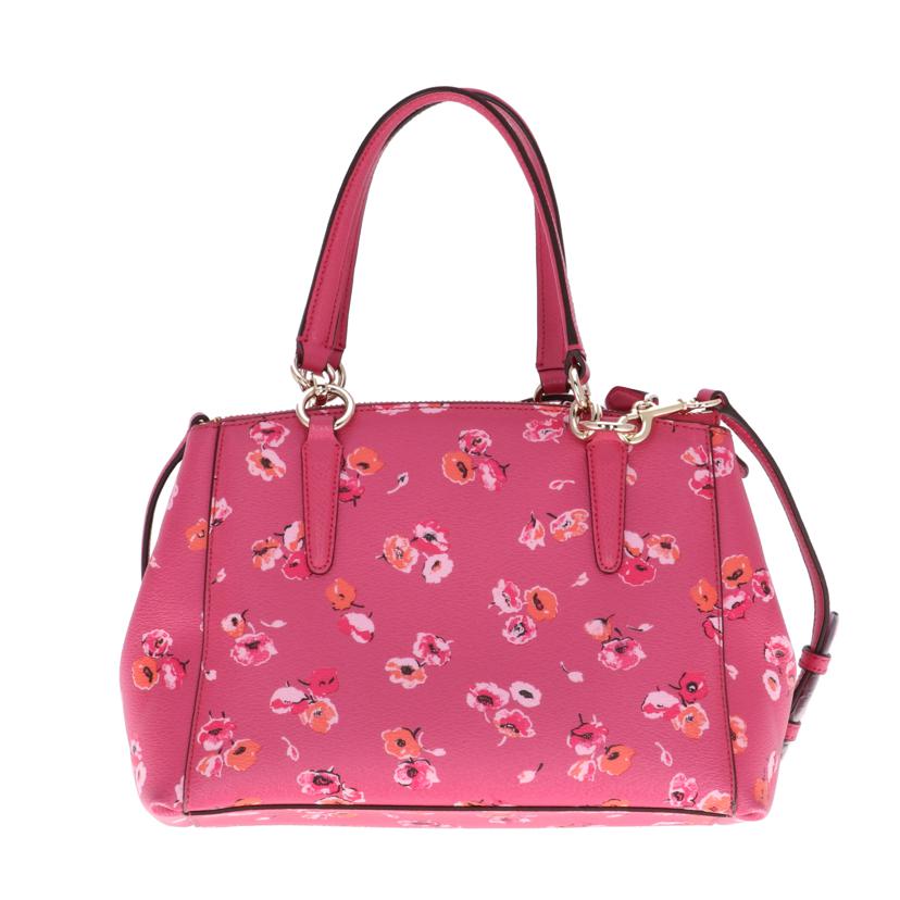 COACH コーチ/ワイルドフラワー 2WAYバッグ/F37421//M1592/Aランク/75