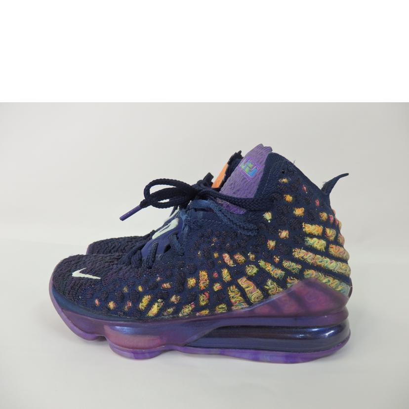 NIKE ナイキ/NIKE レブロン17/CD5050-400//Cランク/84