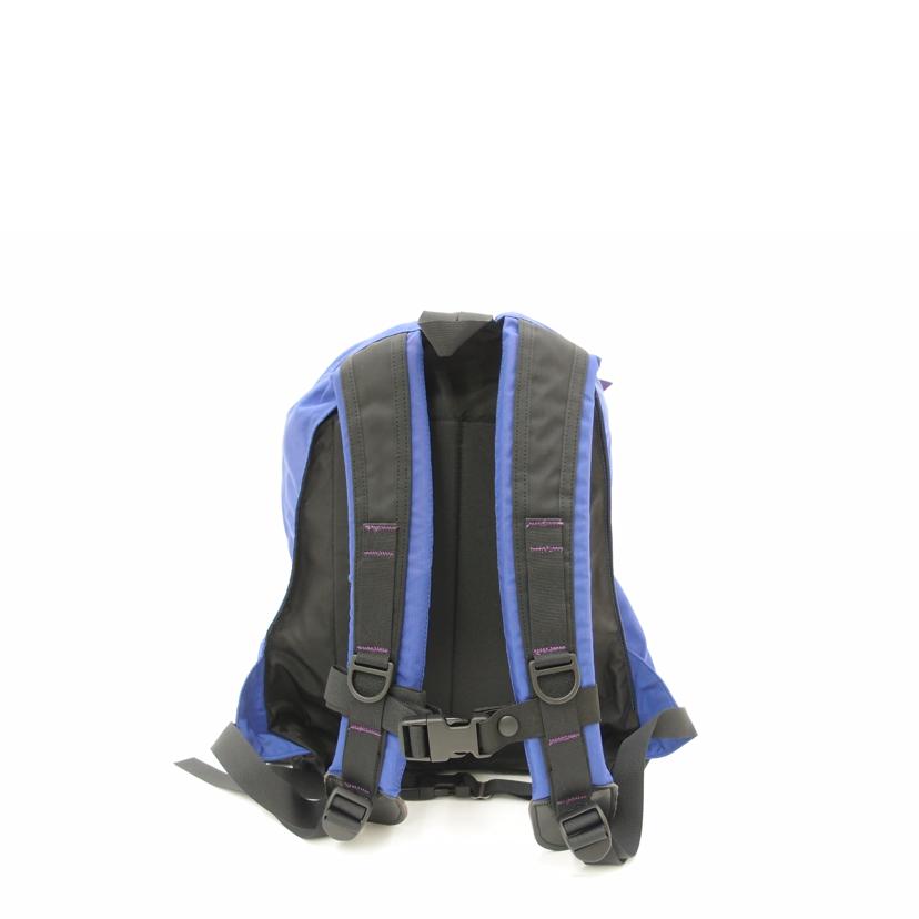 GREGORY グレゴリー/GREGORY DAYPACK BLUELETTER//SAランク/69