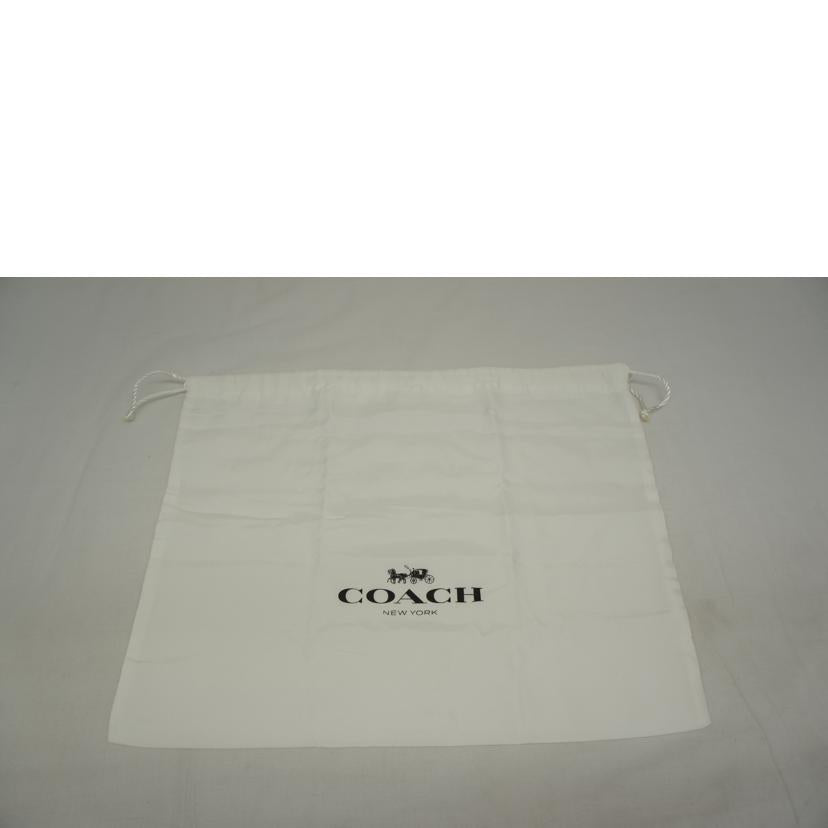 COACH コーチ/スワッガー20/チェーンショルダー/18858//F1781/ABランク/05