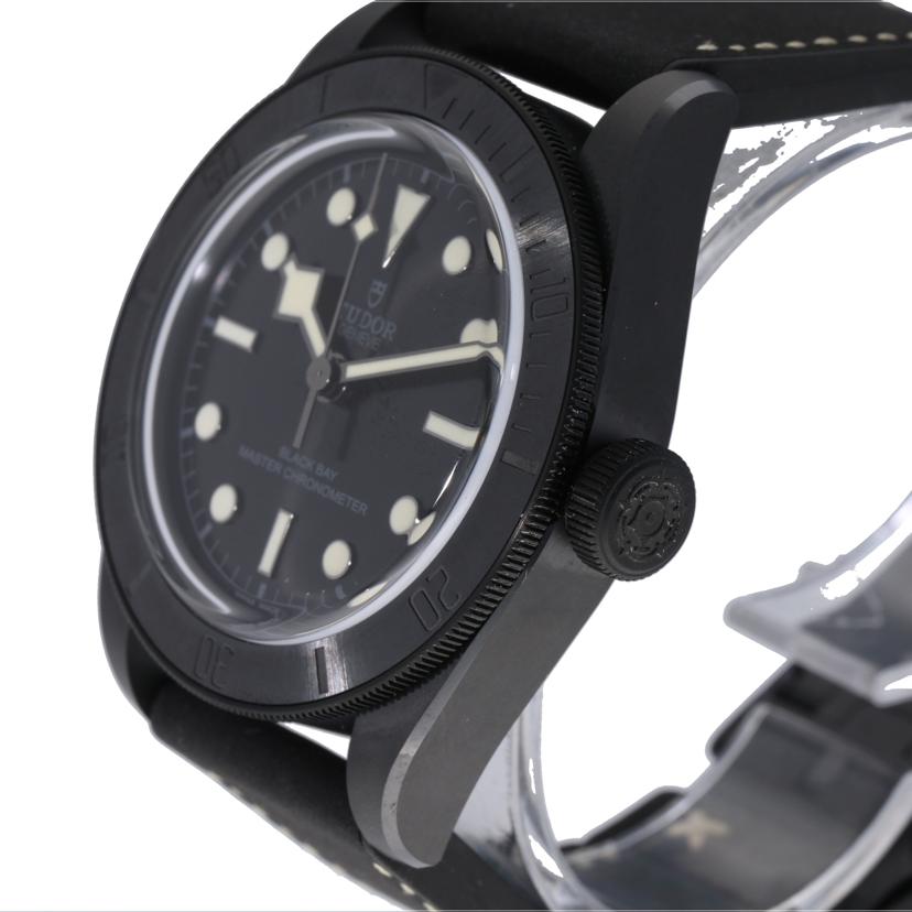 TUDOR チューダー チュードル 自動巻き ブラック メンズ/ブラックベイ・ヘリテージ・セラミック/自動巻き/79210C//Q447872/Aランク/75