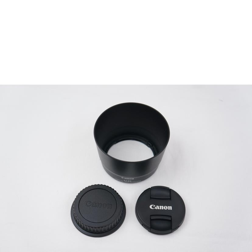 CANON キヤノン/交換レンズ/55-250/4-5.6 IS STM/55-250/4-5.6 IS STM//4841101448/ABランク/67