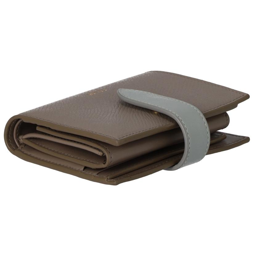 CELINE セリーヌ/スモールストラップウォレット/バイカラーグレインドカーフスキン ペブル/ミネラル//F-9P-2261/ABランク/03