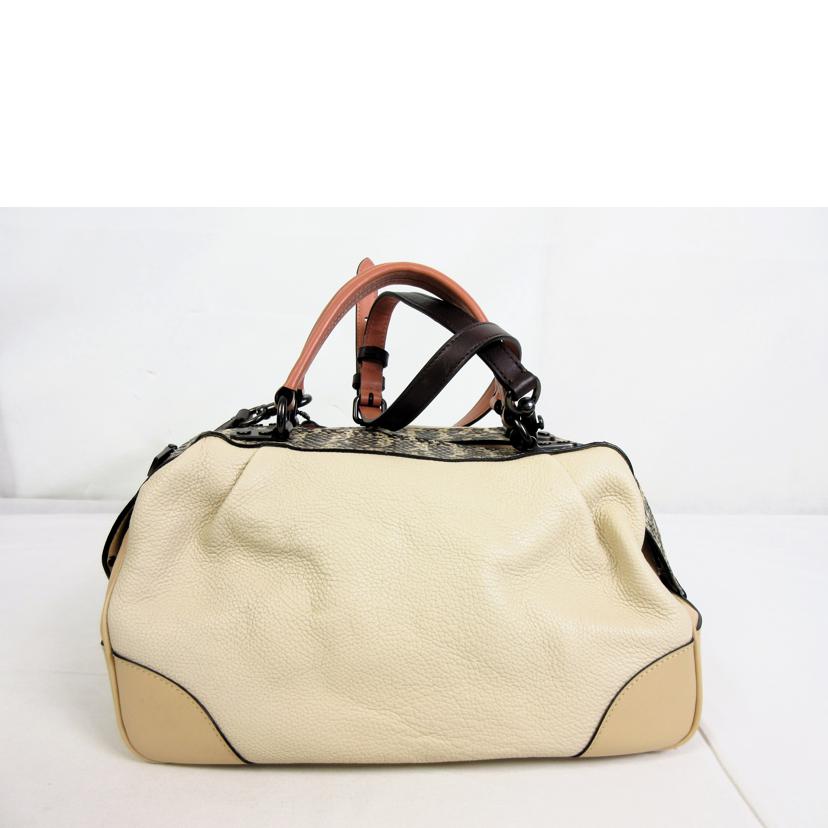 COACH コーチ/パイソンレザー2Wayバッグ/59622//M18**/Bランク/70