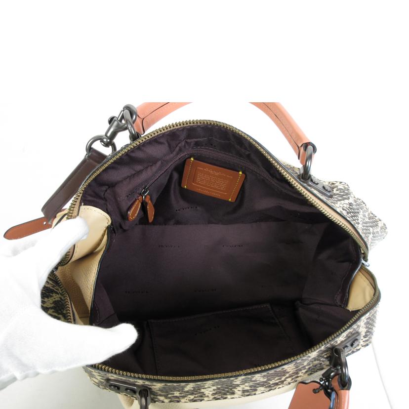 COACH コーチ/パイソンレザー2Wayバッグ/59622//M18**/Bランク/70
