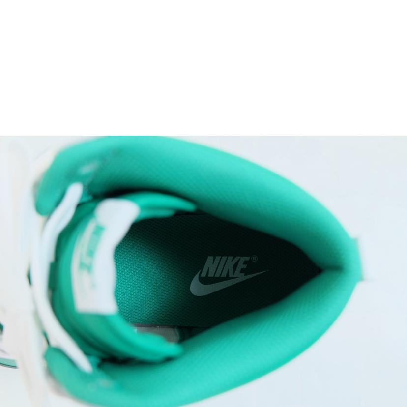 NIKE ナイキ/NIKE DUNK HI RETRO BTTYS/DV0829-300//SAランク/71