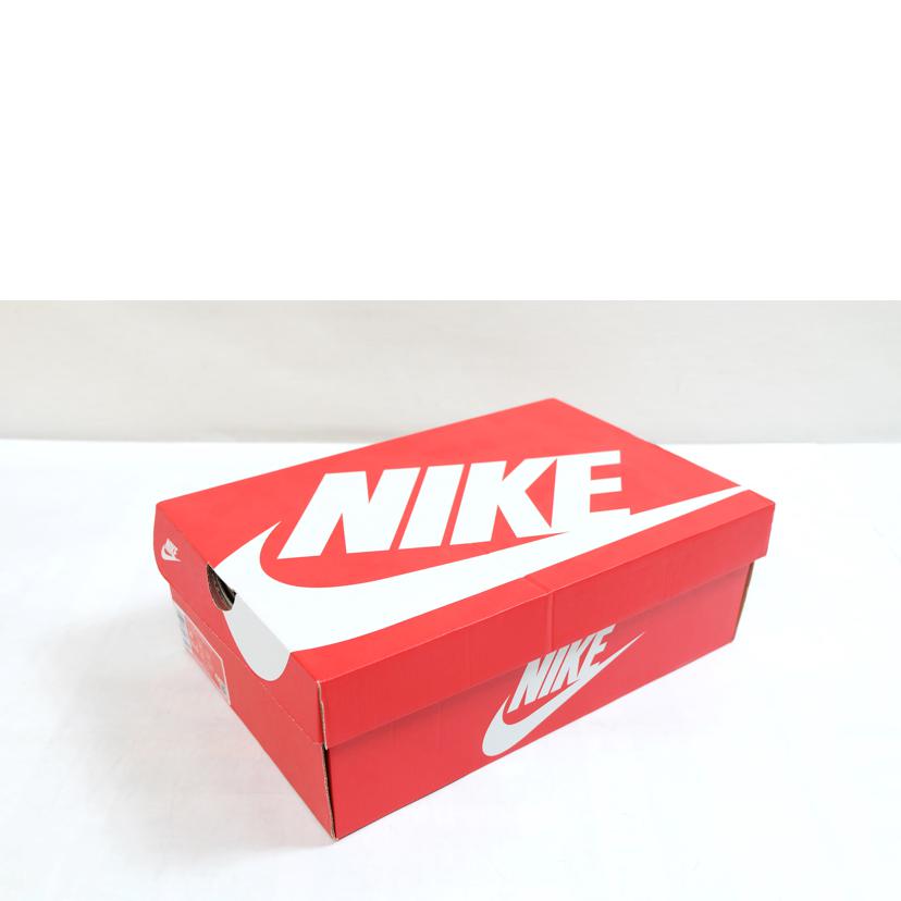NIKE ナイキ/NIKE DUNK HI RETRO BTTYS/DV0829-300//SAランク/71