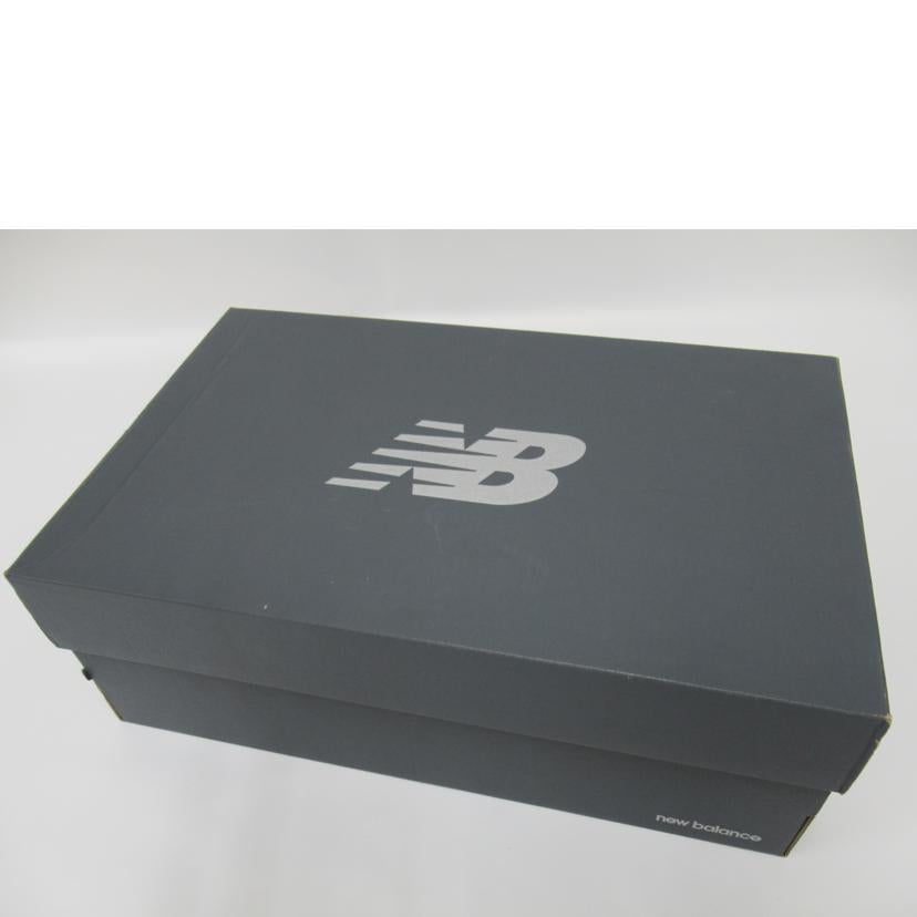 NewBalance ニューバランス/プロテクションパック/M2002RDC//ABランク/63