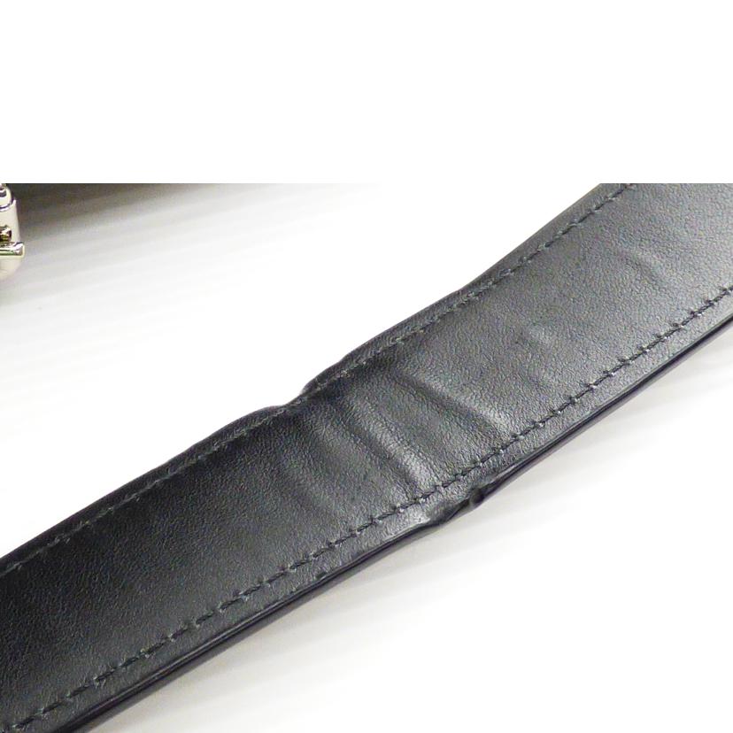 COACH コーチ/セレスト コンバーチブル ホーボー/F55365//C1680/ABランク/64