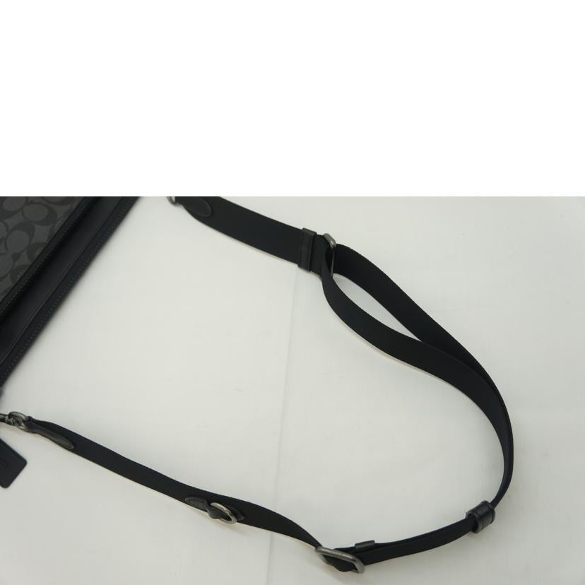 COACH コーチ/ホールデン クロスボディ シグネチャー/C5598//B2280/Aランク/09