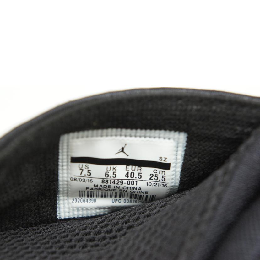 NIKE ナイキ/AIR JORDAN 15 RETRO/エアジョーダン15レトロ/881429-001//ABランク/05