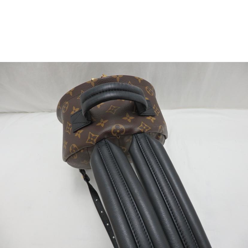 LOUIS VUITTON ルイヴィトン/パームスプリングスバックパックPM/モノグラム/M41560//PL2109/ABランク/85