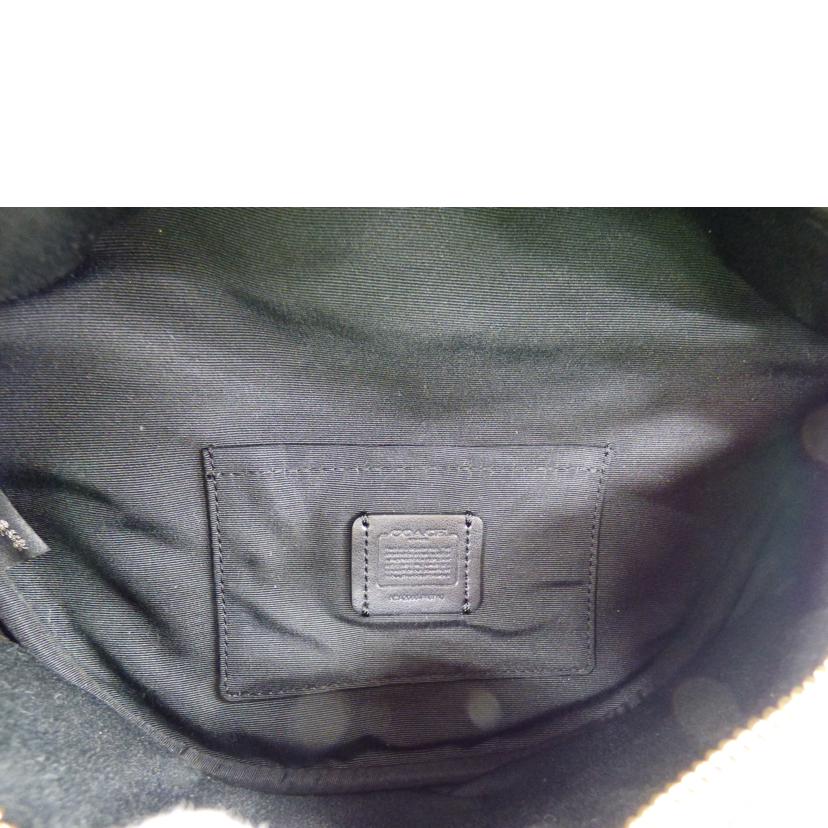 COACH コーチ/ウエストバッグ/F48740//A2080/Aランク/64