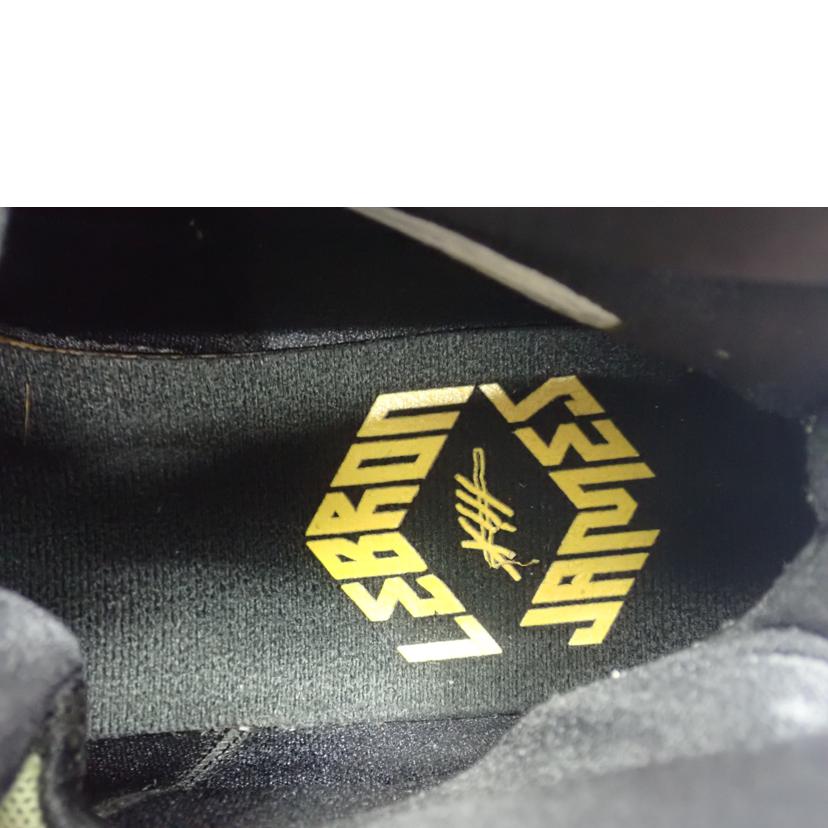 NIKE ナイキ/Lebron Xiii 13 ALL STAR/835659-309//28.5cm/Cランク/62