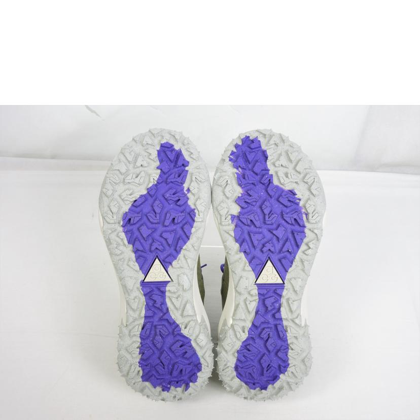 NIKE ナイキ/NIKE ACG◆MOUNTAIN FLY 2 LOW/DV7903-200//ABランク/70