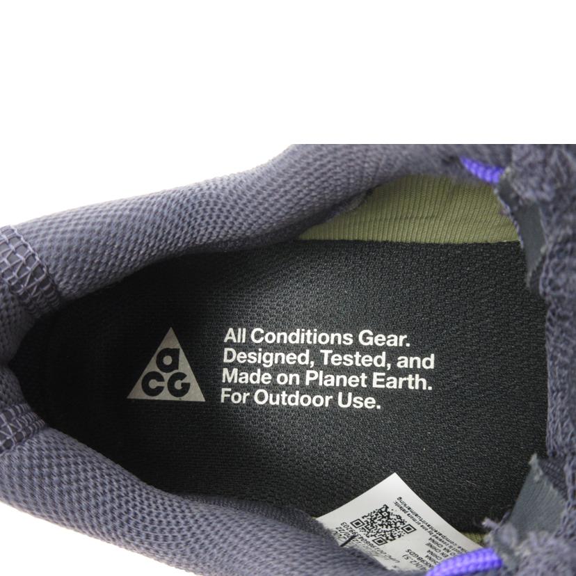 NIKE ナイキ/NIKE ACG◆MOUNTAIN FLY 2 LOW/DV7903-200//ABランク/70