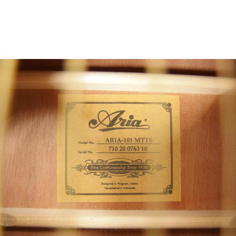 Aria アリア/アコースティックギター/Aria101 MTTS//71020076310/ABランク/04