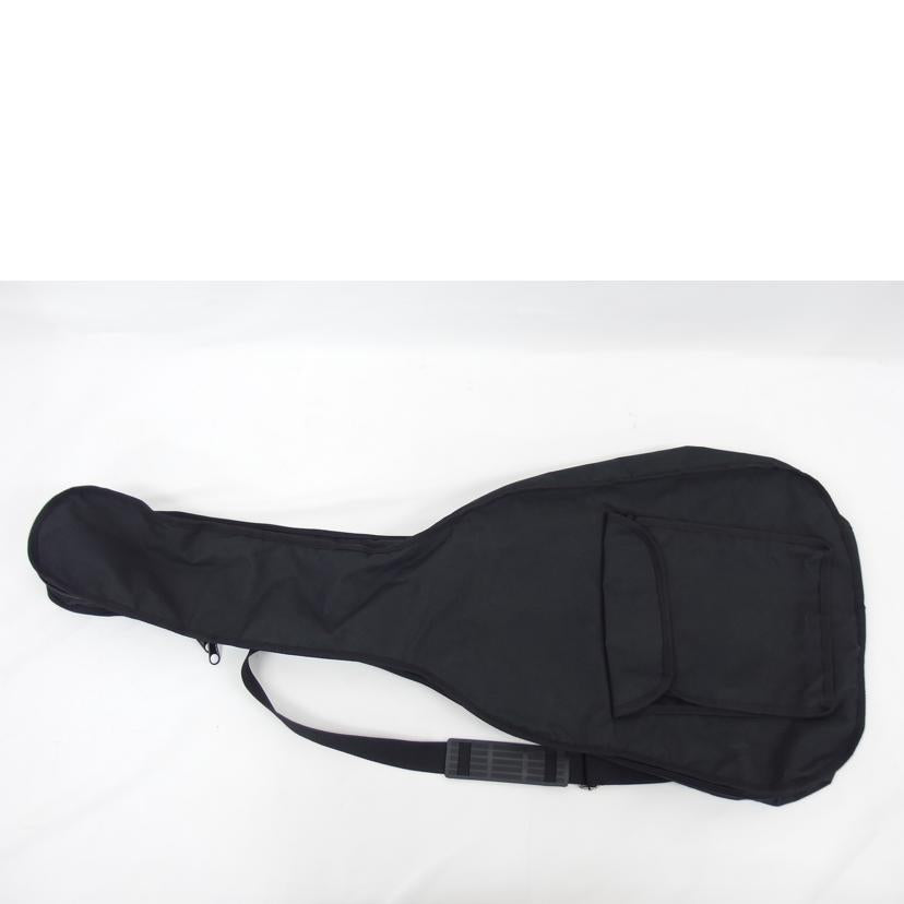 Aria アリア/アコースティックギター/Aria101 MTTS//71020076310/ABランク/04