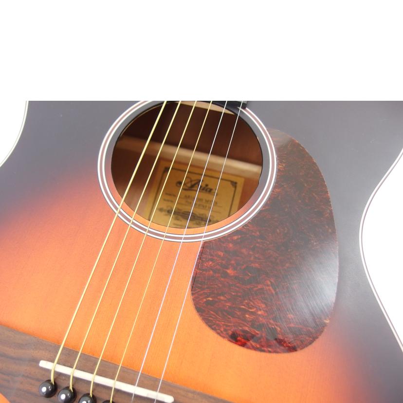 Aria アリア/アコースティックギター/Aria101 MTTS//71020076310/ABランク/04