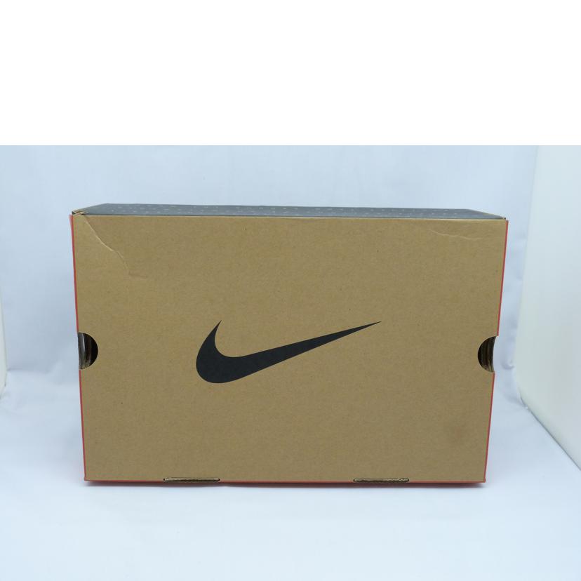 NIKE ナイキ/AJ11 RETRO/378037-061//ABランク/03