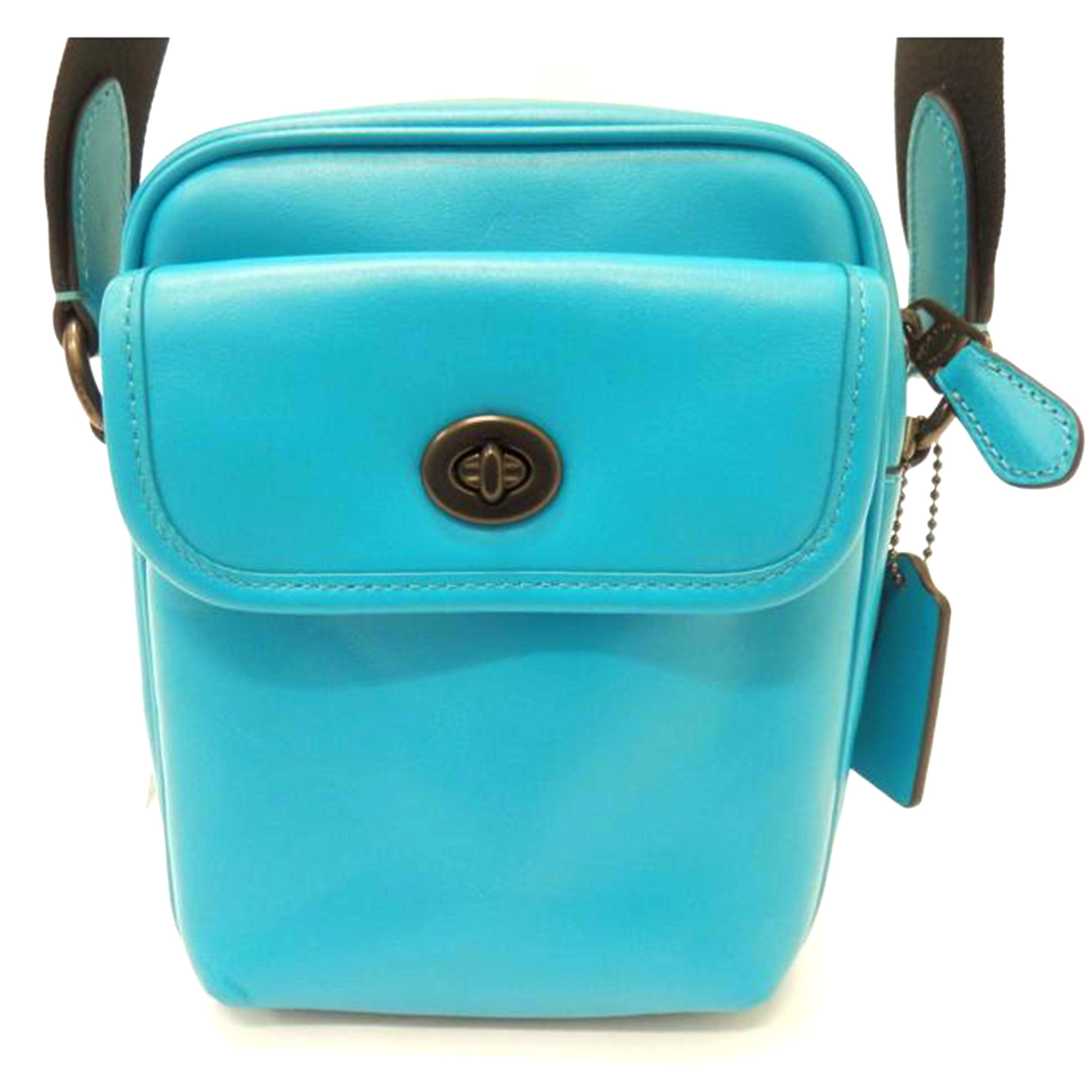 COACH コーチ/レザーミニショルダー/C1269//M2022/Aランク/88