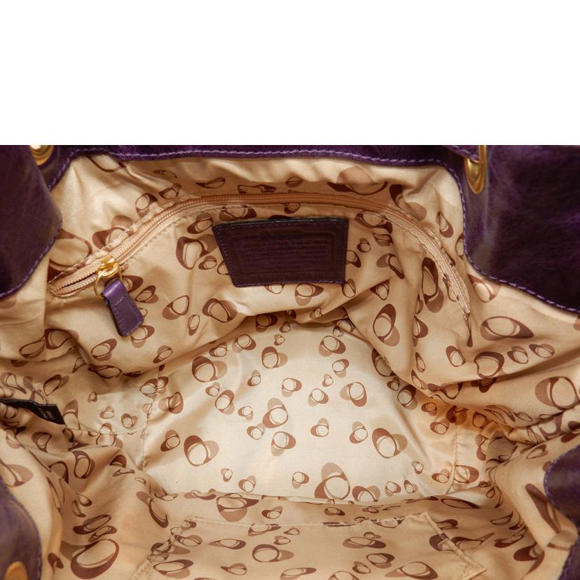 COACH コーチ/ポピー/シンチ/2WAY巾着ショルダーバッグ/17926//Bランク/02