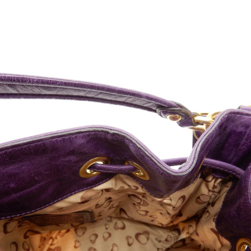 COACH コーチ/ポピー/シンチ/2WAY巾着ショルダーバッグ/17926//Bランク/02