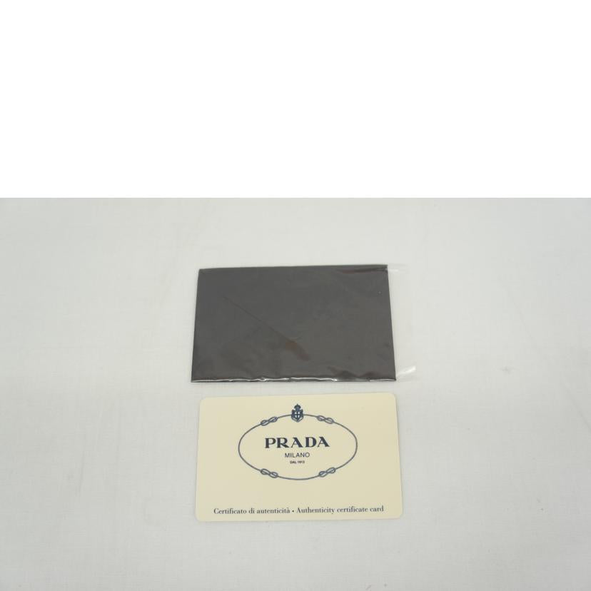 PRADA プラダ/ナイロンペンケース/1N0692//ABランク/05