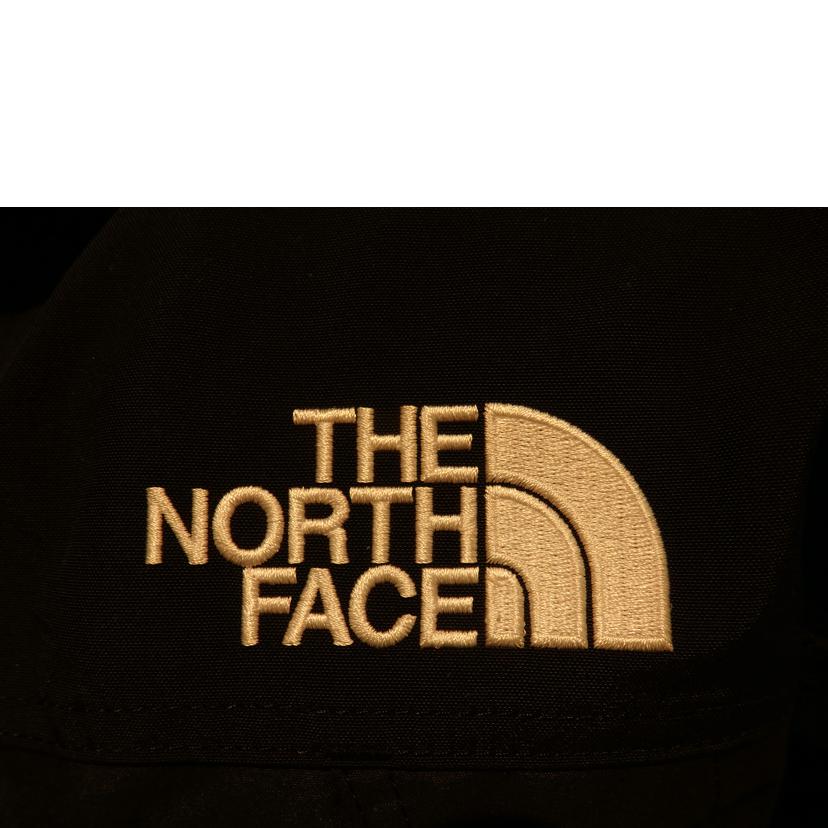 THE NORTH FACE THE NORTH FACE/Mountain Down Coat/マウンテンダウンコート/ND91935//Aランク/02